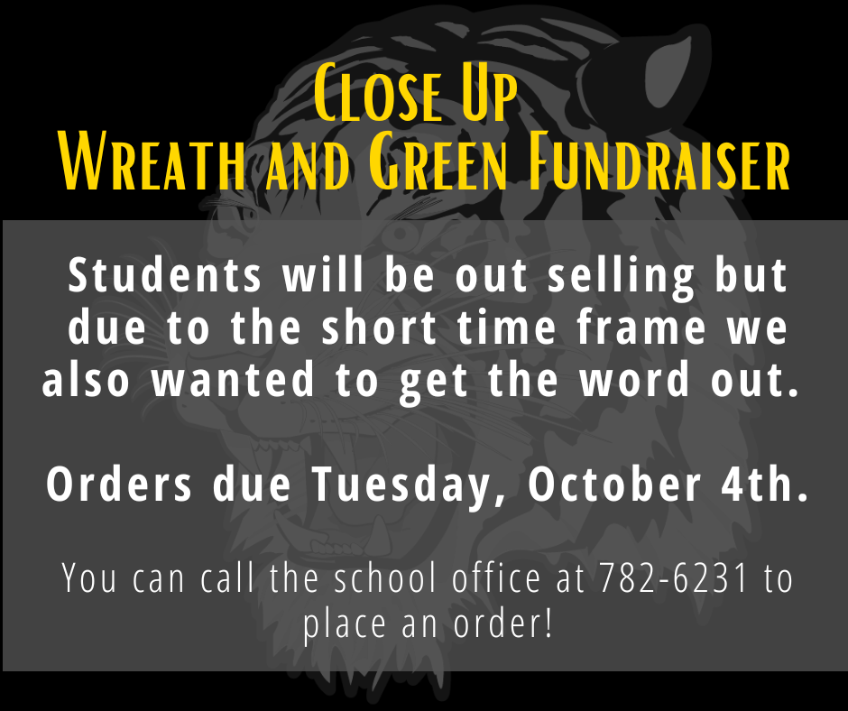 Live Feed HazeltonMoffitBraddock Public School